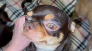 Всем пренаидобрейшего утречка и легкого понедельника!