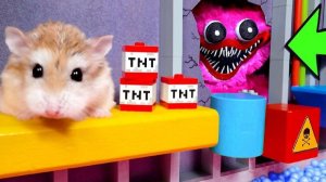 Приключения хомячка в опасном лабиринте с монстром