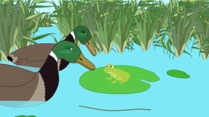Лягушка - путешественница. Мультики для детей