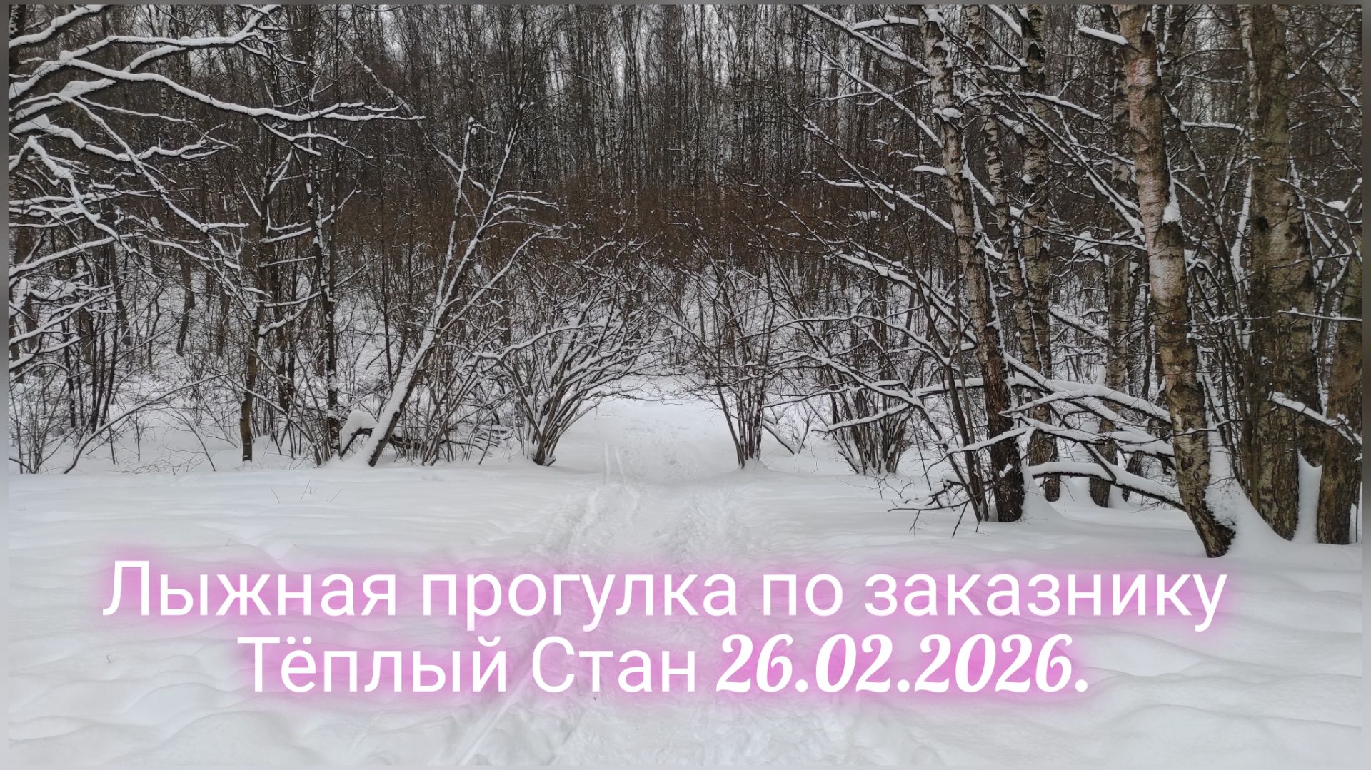 Лыжная прогулка по заказнику 26.02.2026.