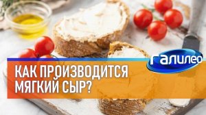 Галилео  Как производится мягкий сыр?