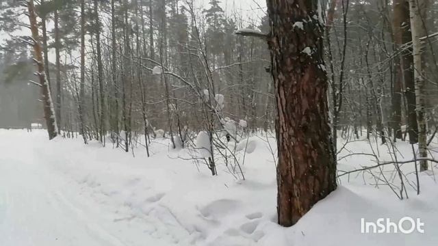 Хочешь, верь или не верь, но весна открыла дверь