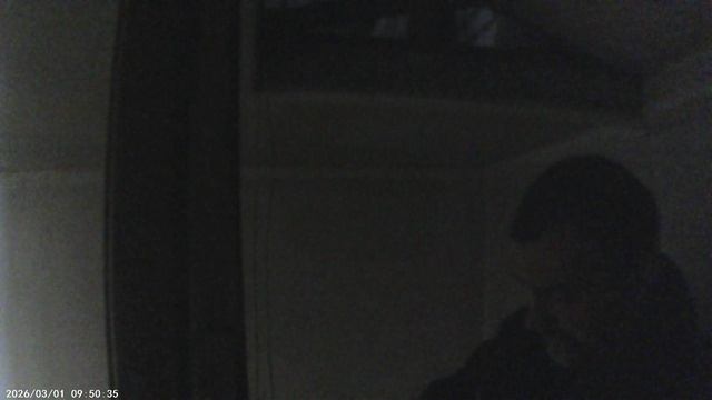 Звон на Евхаристический канон Литургии 1 марта 2026