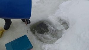 Запуск 1 Марта 92 кг. Форели "Водопад"