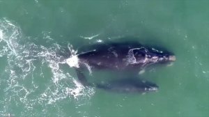 релакс слипинг мьюзик 🧝 вода