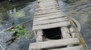 АДВ промакс по полю и квадрик застрявший по пути