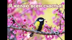 Молитва за мир во всем мире! Live 01.03.2026