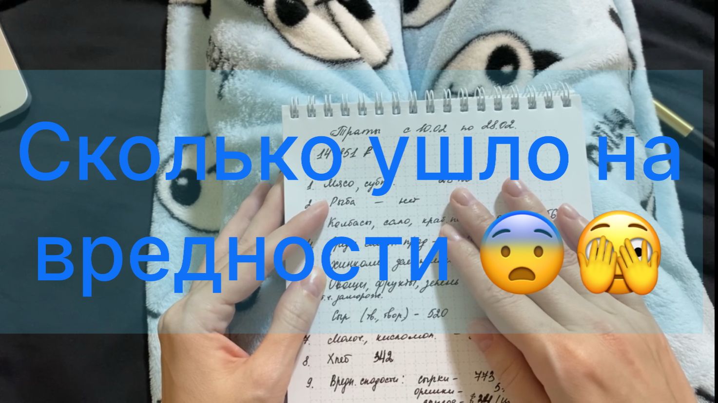 Продуктовая корзина с 10 по 28 февраля. Расходы. Сколько могла бы сэкономить.