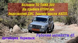 Рабочие моменты 48. TANK300. Большое ТО, эндоскопия ДВС. Замена сальника привода.