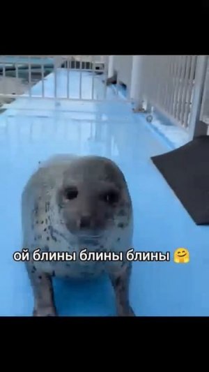 пхапхапхапхапхапхапхапхапхапхапхапхапха