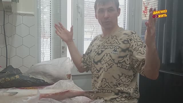 КРОНИРОВАНИЕ ДЕРЕВЬЕВ / СЕЛЁДКА, МИНТАЙ И ЛОСОСЬ С 