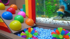 🐹Хомяк выбирается из лабиринта в бассейне с помощью Pop It 🐹🌈 для питомцев в реальной жизни