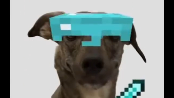 знакомьтесь это биба а это его друг боба все Фаны посчитали что у них любовь до гроба и даже когда смотреть онлайн