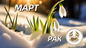 РАКИ. Прогноз на Март 2026