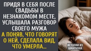 истории из жизни Придя в себя после свадьбы в незнакомом месте, услышала странный разговор мужа…