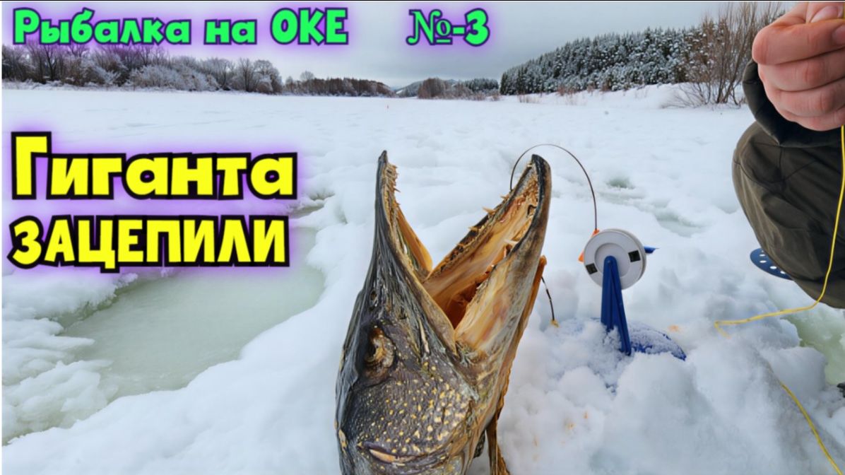 ⚡️ЩУКА 17 кг не пролезла в лунку 150 мм на ОКЕ⭐️ Жерлицы и Зимняя рыбалка-2026 ! №-3 смотреть онлайн