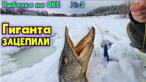 ⚡️ЩУКА 17 кг не пролезла в лунку 150 мм на ОКЕ⭐️ Жерлицы и Зимняя рыбалка-2026 ! №-3