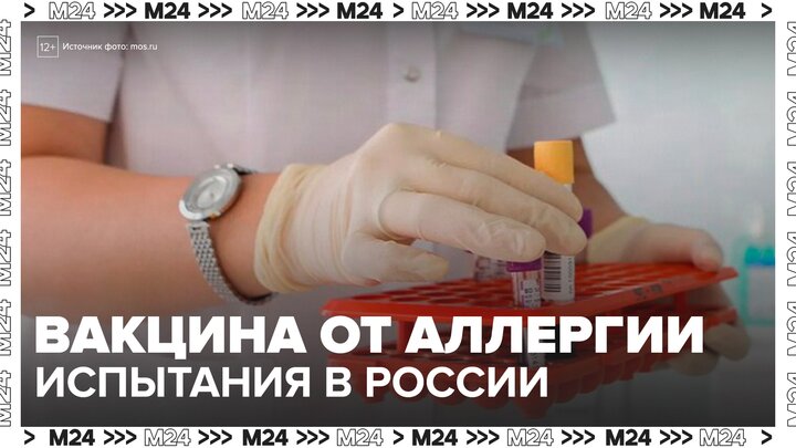 В России началась третья фаза испытаний вакцины против аллергии на пыльцу березы - Москва 24 смотреть онлайн