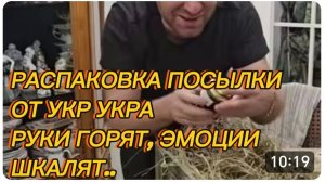 САМВЕЛ АДАМЯН, РАСПАКОВКА ПОСЫЛКИ ОТ УКР УКРА, РУКИ ГОРЯТ, ЭМОЦИИ ШКАЛЯТ.. СЮРПРИЗ..