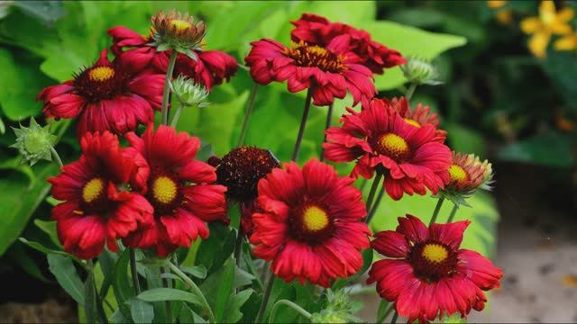 Сборник моих фотографий 2017  26 часть