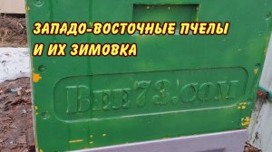 ПЧЕЛОВОДСТВО западо восточные пчелы и их зимовка да