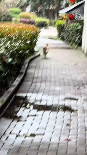 Не любит мочиться