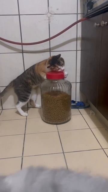 кушать захотелось