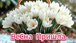 Весна пришла — пора радоваться! ☀️ Встречаем вместе