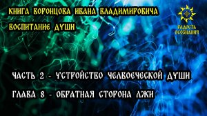 2,8 Обратная сторона лжи. Книга Воронцова И.В. - "Воспитание Души"