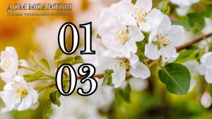 1.03.2026 - Прямая трансляция ст.Елизаветинская