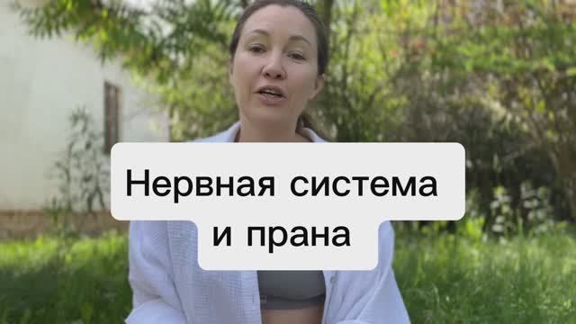 Нервная система и прана