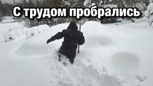 Снега по пояс. Обед у мамы.