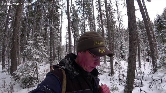 ОТКРЫВАЮ КАПКАНЫ НА КУНИЦУ. ПРИШЛОСЬ ТРОПИТЬ ПОДРАНКА. 23.11.25 смотреть онлайн