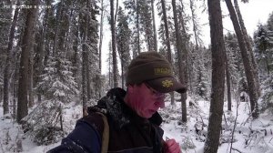 ОТКРЫВАЮ КАПКАНЫ НА КУНИЦУ. ПРИШЛОСЬ ТРОПИТЬ ПОДРАНКА. 23.11.25