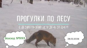 Прогулки по лесу. День за днем с дедом Многоведом. 28 февраля 2026г. Эпизод 993.