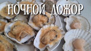 Сахалин - ночной сбор морепродуктов, гребешок и устрицы