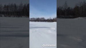 Закрытие сезона на зайца 25-26 г.