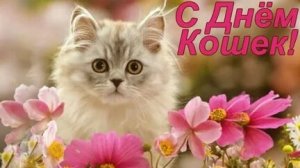 Кто тут главный? Конечно кошки. С праздником,с днём кошек. Самая лучшая музыкальная открытка.