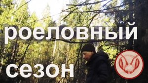 Роеловный сезон