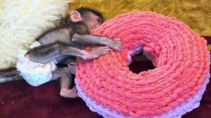 ТАКАЯ МИЛОТА! Николь засыпает❤️