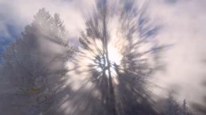 "Моя награда"- читает автор Галина Катрачёва