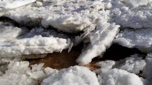 Азовское море во льду,Каменское,01.03.26