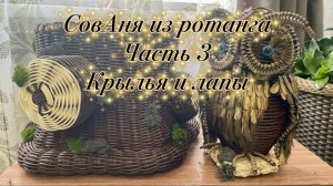 СовАня. Крылья и лапы