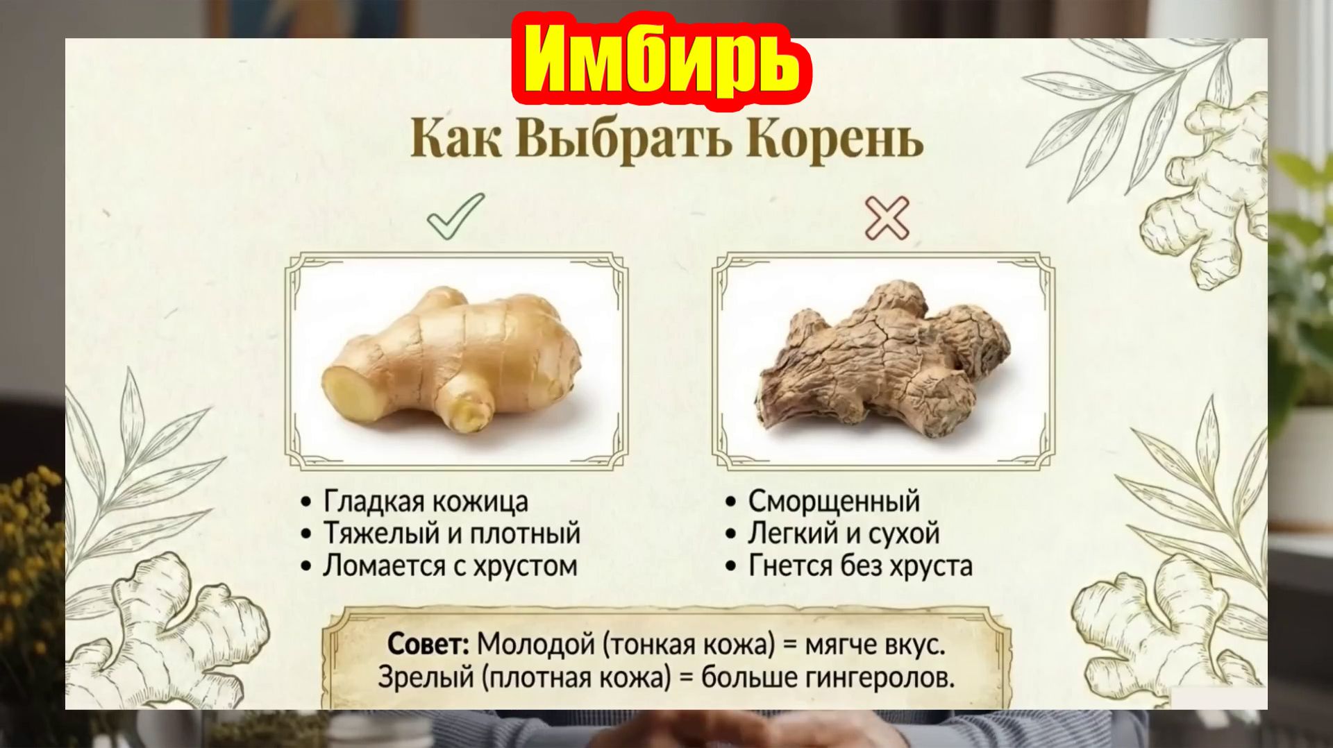 Имбирь - залог здоровья: один источник, все важные сферы | Три рецепта для укрепления