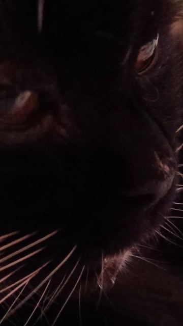 Как ощущается наступившая весна