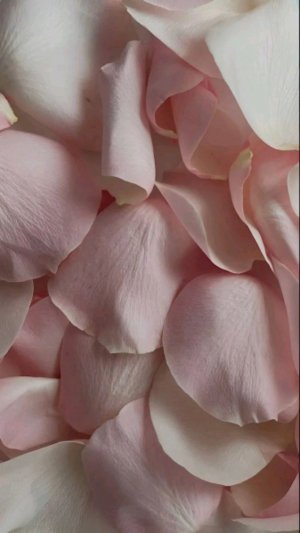 ЗАХОДИТЕ ТУТ ИНТЕРЕСНО