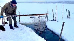 Рыбалка фитилями. Улов нас порадовал.