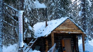 -45С. Тайга замерла. Закрываю сезон