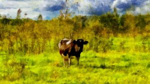 Любимое время года