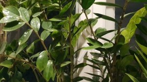 Зима. Февраль.